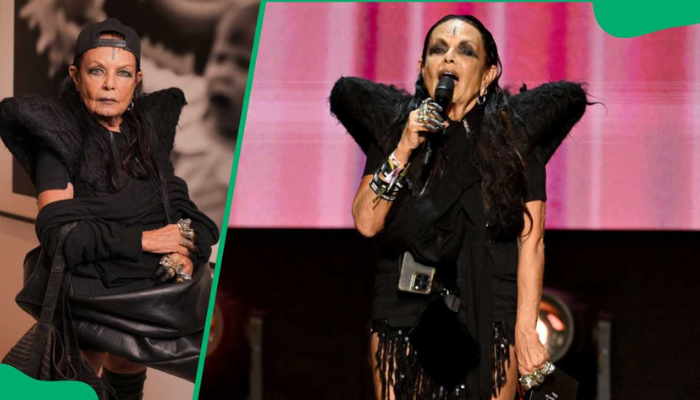 michele lamy net worth