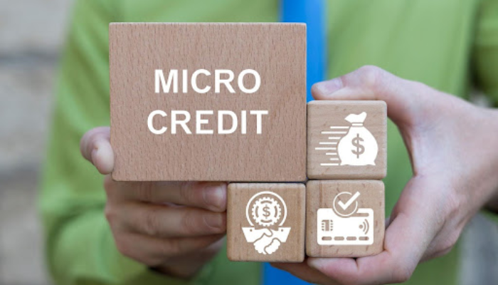 Business Micro Loans
