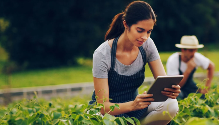 boosting life quality nobullswipe